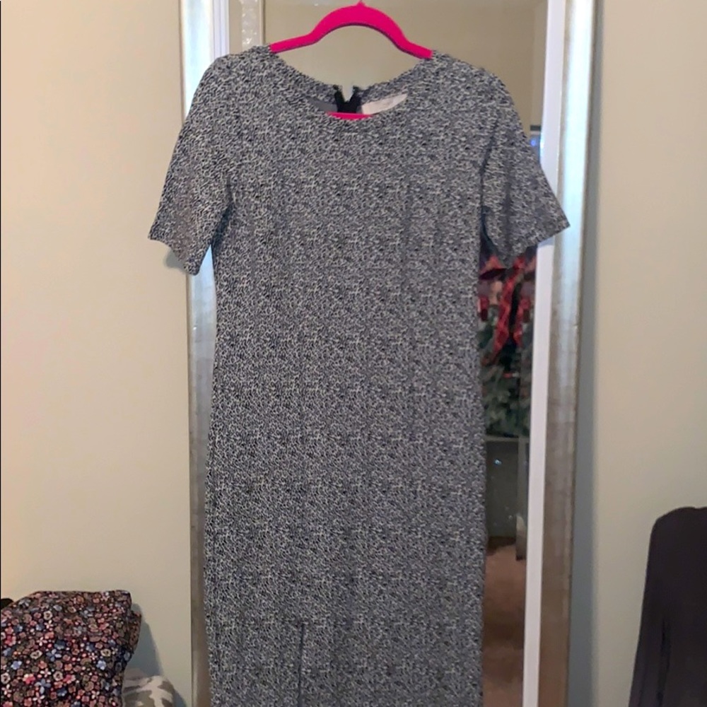 Anne Taylor loft sweater dress